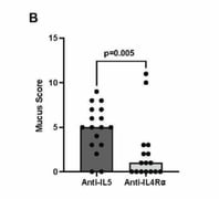 Persistence_of_Mucus_Plugging_in_Severe_Asthmatics_Treated_With_Biologics